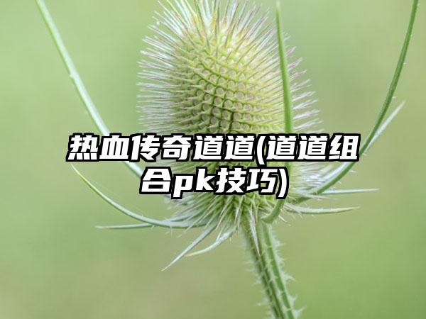 热血传奇道道(道道组合pk技巧)