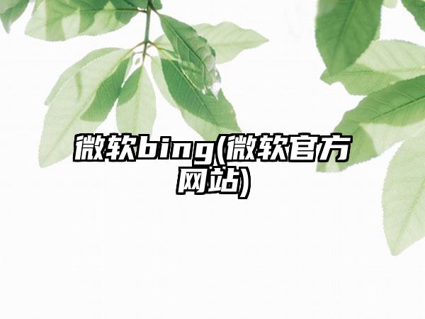 微软bing(微软官方网站)