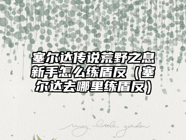 塞尔达传说荒野之息新手怎么练盾反（塞尔达去哪里练盾反）