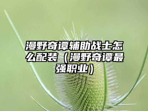漫野奇谭辅助战士怎么配装（漫野奇谭最强职业）