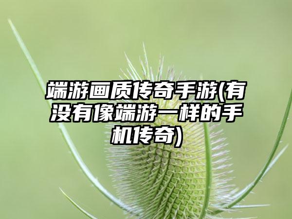 端游画质传奇手游(有没有像端游一样的手机传奇)
