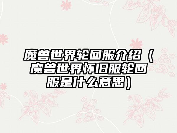 魔兽世界轮回服介绍（魔兽世界怀旧服轮回服是什么意思）