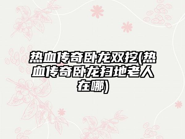热血传奇卧龙双挖(热血传奇卧龙扫地老人在哪)