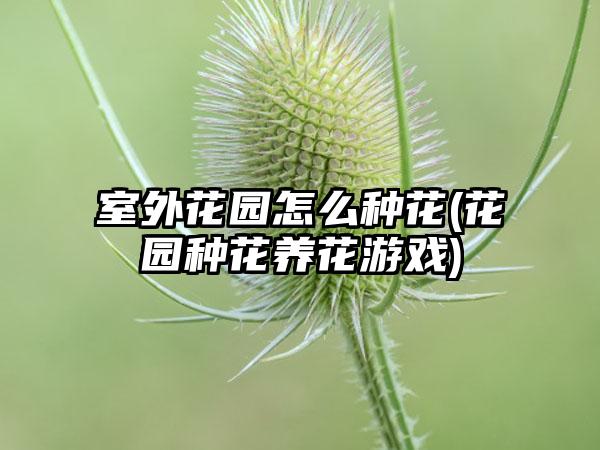 室外花园怎么种花(花园种花养花游戏)