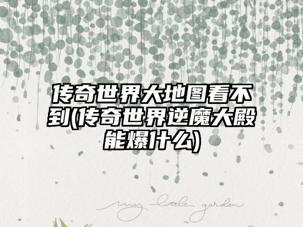 传奇世界大地图看不到(传奇世界逆魔大殿能爆什么)