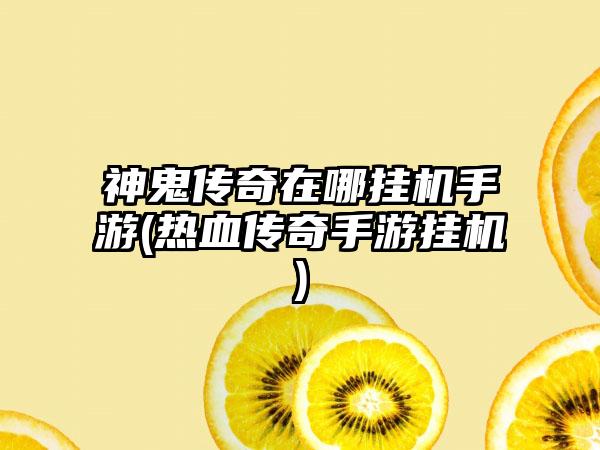 神鬼传奇在哪挂机手游(热血传奇手游挂机)