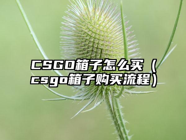 CSGO箱子怎么买（csgo箱子购买流程）