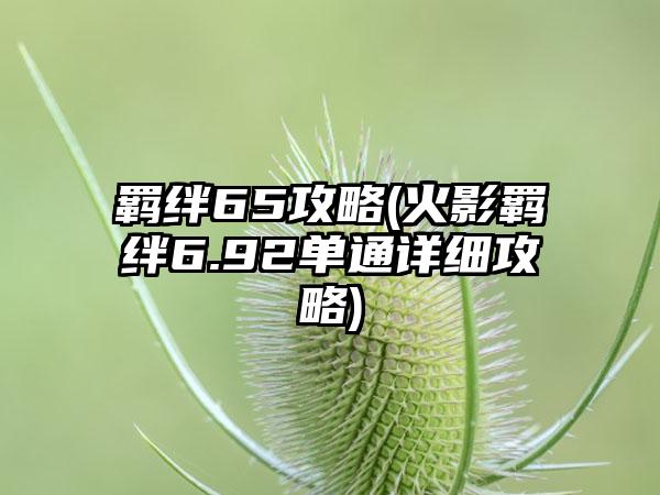 羁绊65攻略(火影羁绊6.92单通详细攻略)