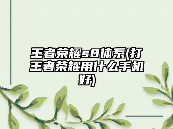 王者荣耀s8体系(打王者荣耀用什么手机好)
