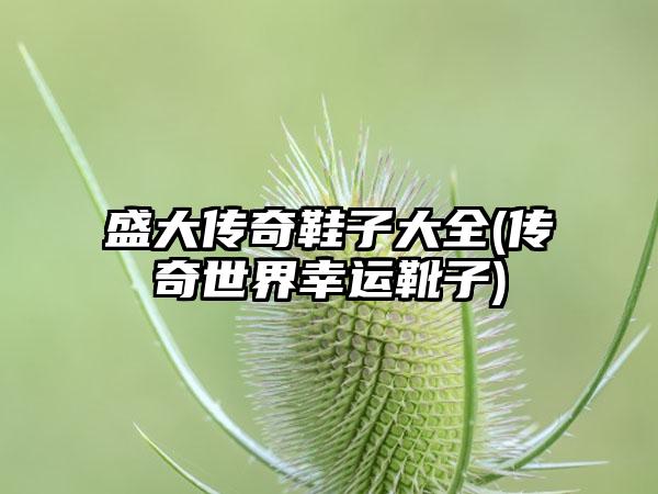 盛大传奇鞋子大全(传奇世界幸运靴子)