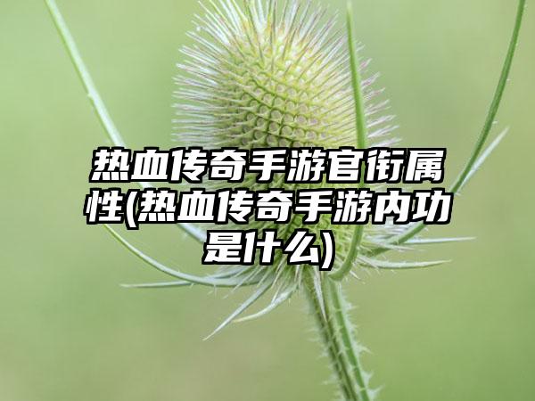 热血传奇手游官衔属性(热血传奇手游内功是什么)