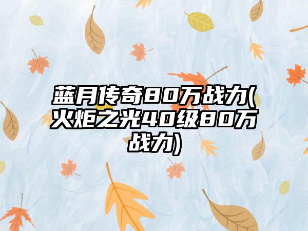蓝月传奇80万战力(火炬之光40级80万战力)