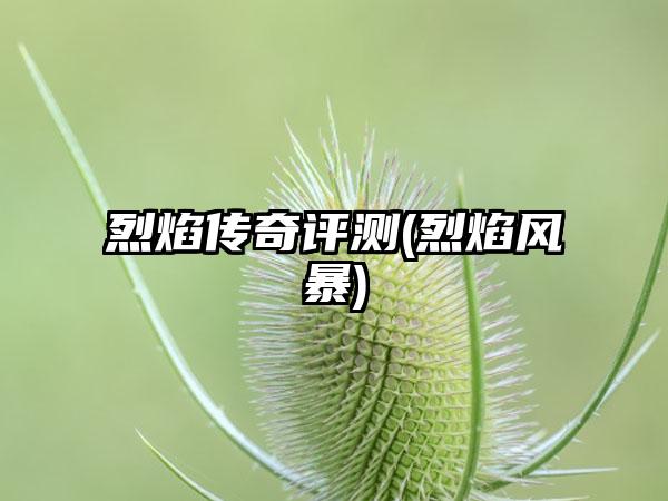 烈焰传奇评测(烈焰风暴)