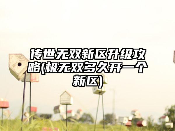 传世无双新区升级攻略(极无双多久开一个新区)