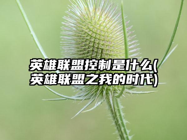 英雄联盟控制是什么(英雄联盟之我的时代)