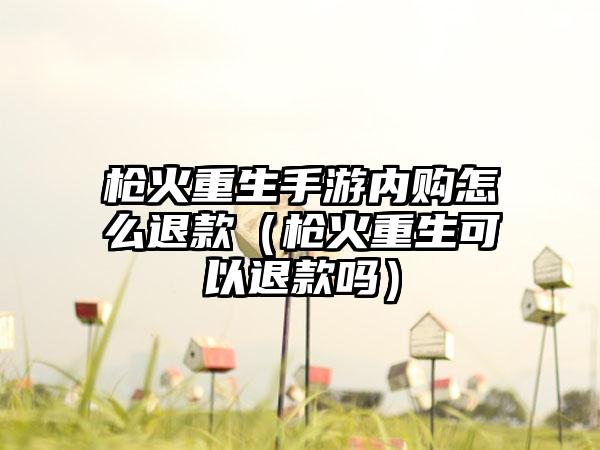 枪火重生手游内购怎么退款（枪火重生可以退款吗）