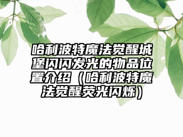 哈利波特魔法觉醒城堡闪闪发光的物品位置介绍（哈利波特魔法觉醒荧光闪烁）