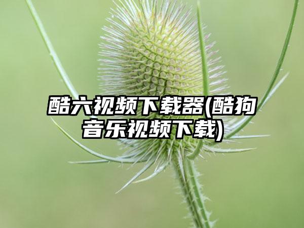 酷六视频下载器(酷狗音乐视频下载)