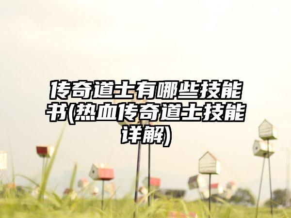 传奇道士有哪些技能书(热血传奇道士技能详解)