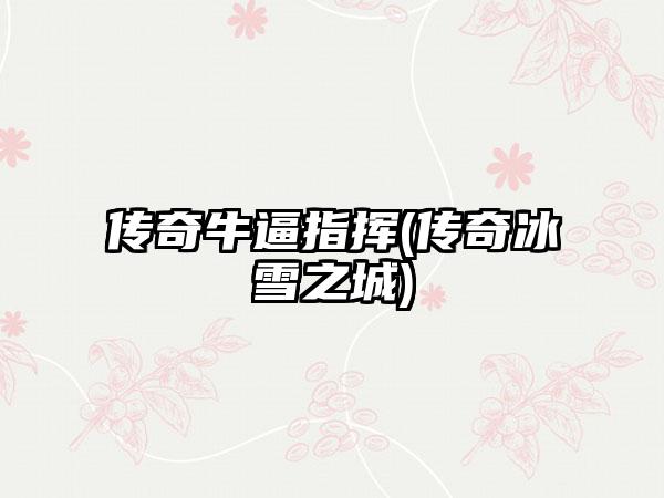 传奇牛逼指挥(传奇冰雪之城)