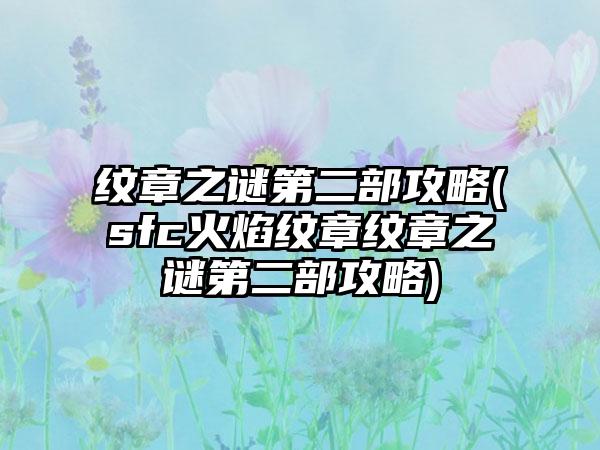 纹章之谜第二部攻略(sfc火焰纹章纹章之谜第二部攻略)