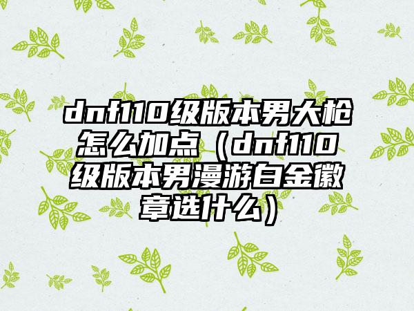 dnf110级版本男大枪怎么加点（dnf110级版本男漫游白金徽章选什么）