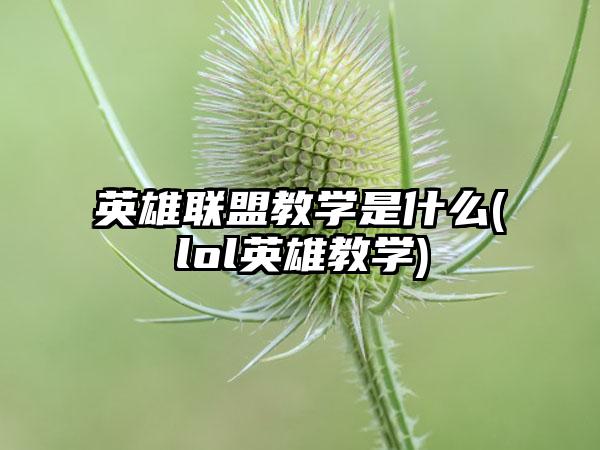 英雄联盟教学是什么(lol英雄教学)