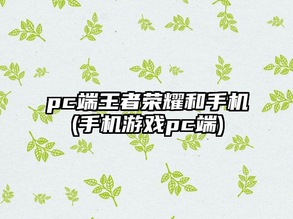 pc端王者荣耀和手机(手机游戏pc端)