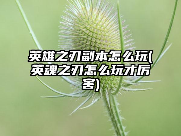 英雄之刃副本怎么玩(英魂之刃怎么玩才厉害)