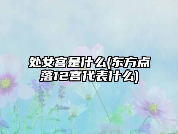 处女宫是什么(东方点落12宫代表什么)
