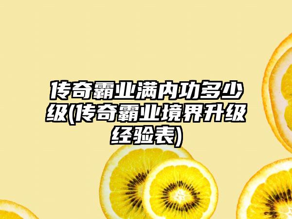 传奇霸业满内功多少级(传奇霸业境界升级经验表)