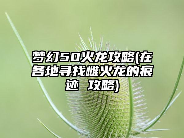 梦幻50火龙攻略(在各地寻找雌火龙的痕迹 攻略)