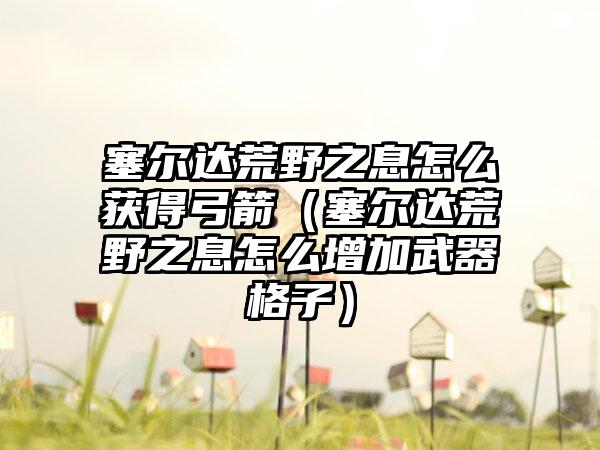 塞尔达荒野之息怎么获得弓箭（塞尔达荒野之息怎么增加武器格子）