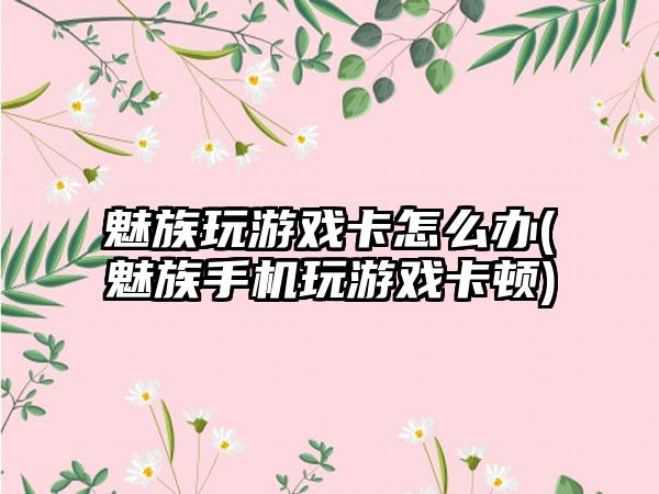 魅族玩游戏卡怎么办(魅族手机玩游戏卡顿)