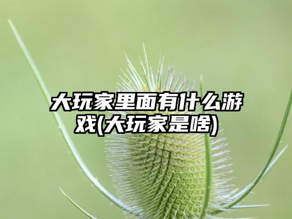 大玩家里面有什么游戏(大玩家是啥)
