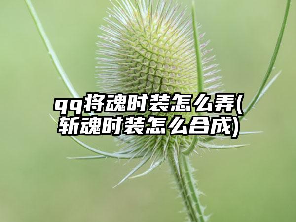 qq将魂时装怎么弄(斩魂时装怎么合成)