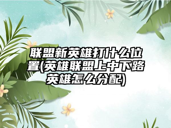 联盟新英雄打什么位置(英雄联盟上中下路英雄怎么分配)