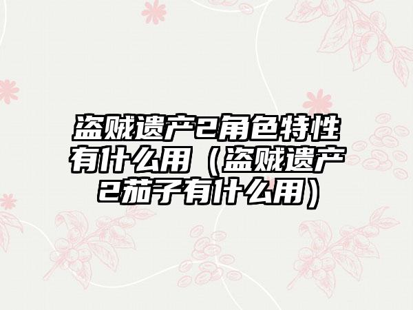 盗贼遗产2角色特性有什么用（盗贼遗产2茄子有什么用）