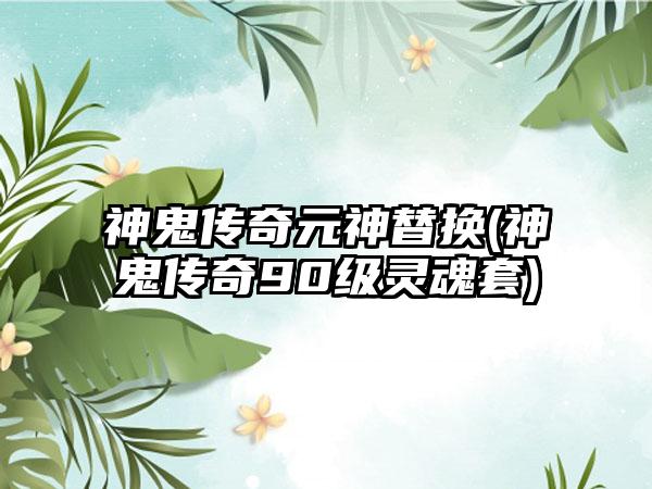 神鬼传奇元神替换(神鬼传奇90级灵魂套)