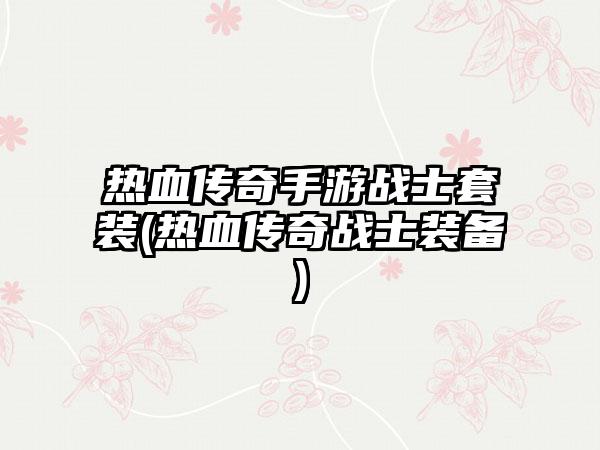 热血传奇手游战士套装(热血传奇战士装备)