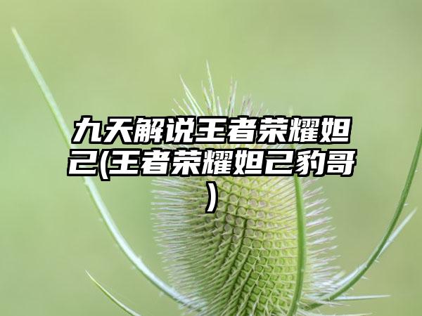 九天解说王者荣耀妲己(王者荣耀妲己豹哥)