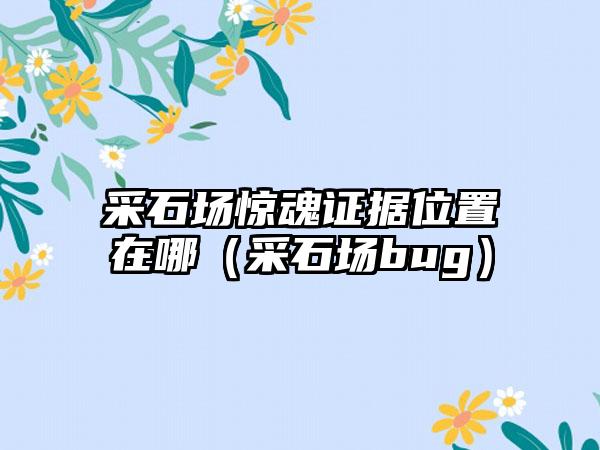 采石场惊魂证据位置在哪（采石场bug）