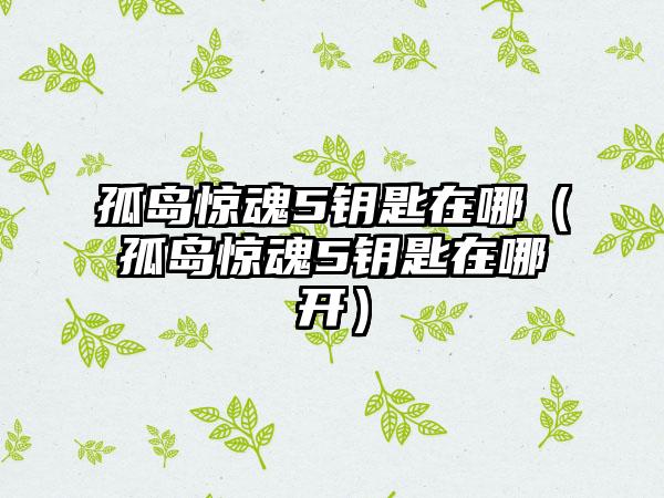 孤岛惊魂5钥匙在哪（孤岛惊魂5钥匙在哪开）