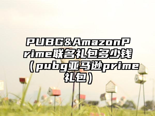 PUBG&AmazonPrime联名礼包多少钱（pubg亚马逊prime礼包）