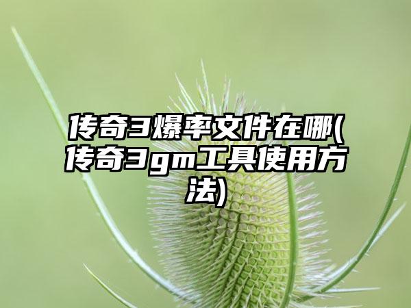 传奇3爆率文件在哪(传奇3gm工具使用方法)