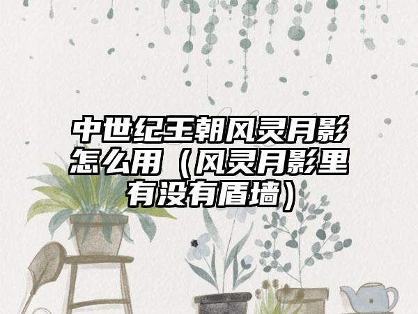 中世纪王朝风灵月影怎么用（风灵月影里有没有盾墙）