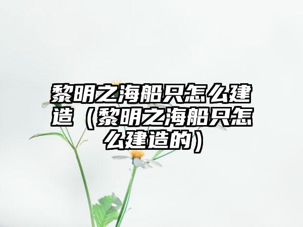 黎明之海船只怎么建造（黎明之海船只怎么建造的）