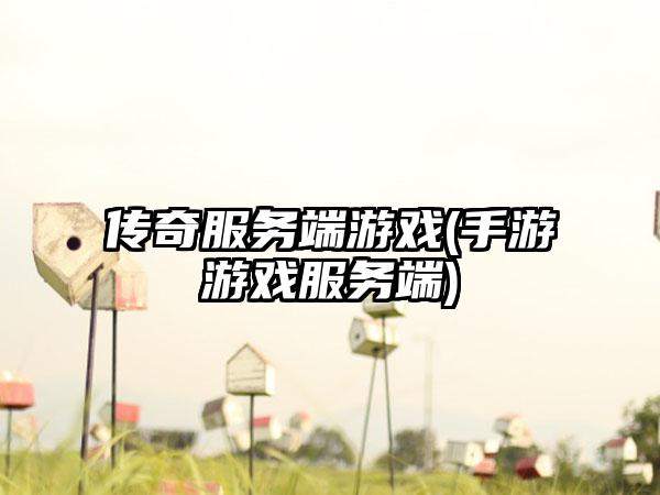 传奇服务端游戏(手游游戏服务端)
