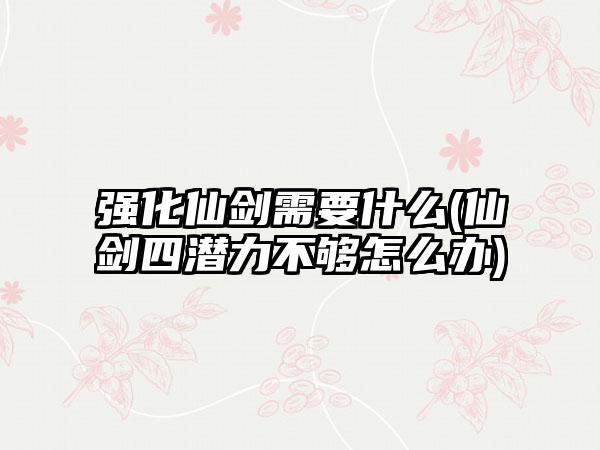 强化仙剑需要什么(仙剑四潜力不够怎么办)