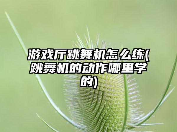 游戏厅跳舞机怎么练(跳舞机的动作哪里学的)